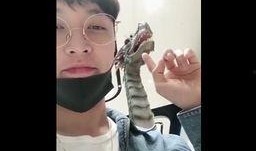 国产小视频福利,解锁精彩瞬间，畅享视听盛宴